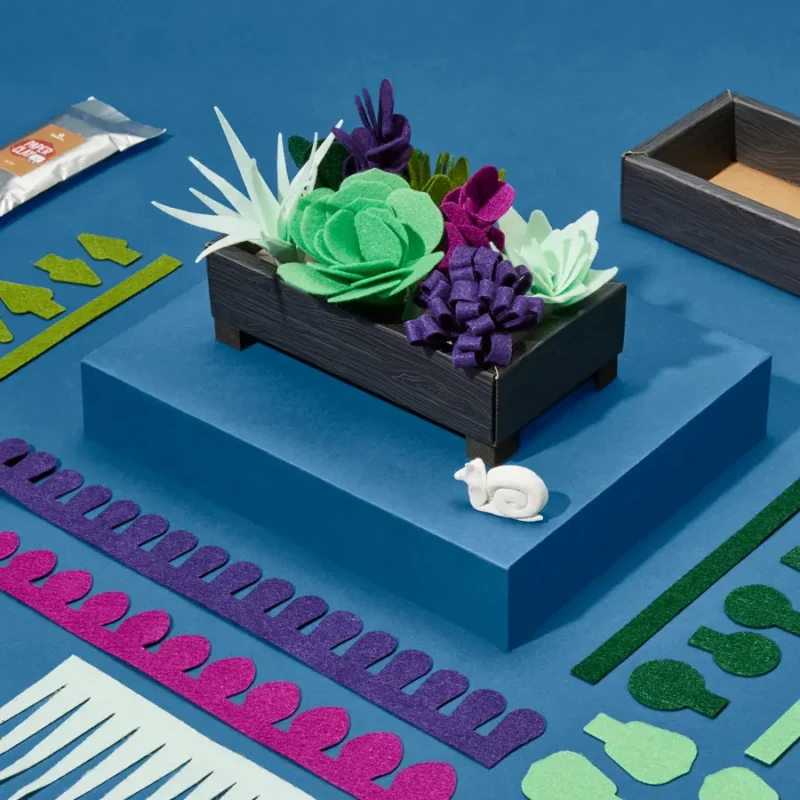 Felt Succulent Garden - Image 5