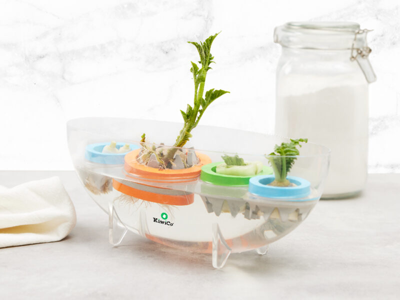 Kitchen Scrap Planter - Image 3