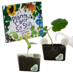 Window Garden Book Set
